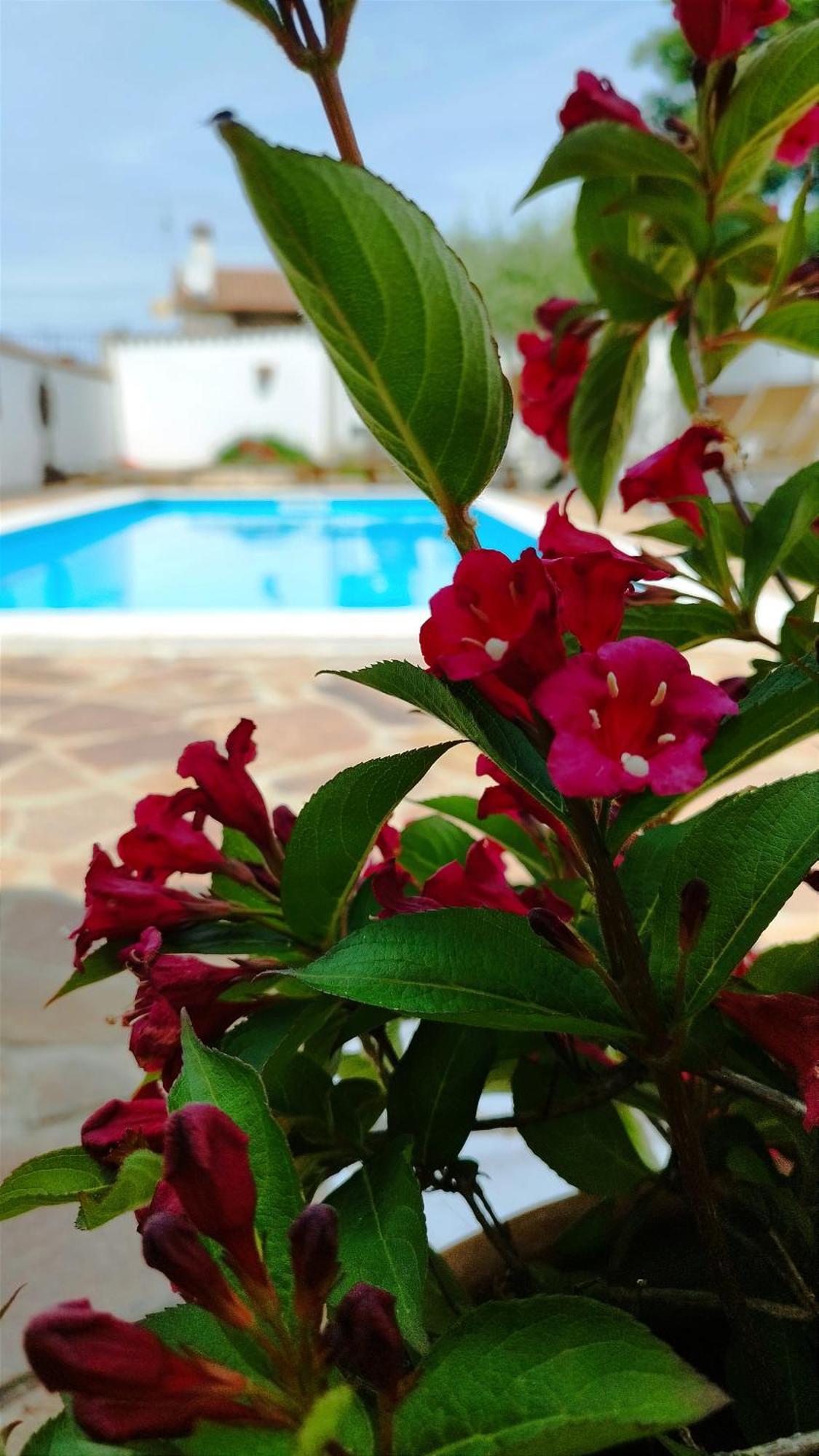 Villa "Pied-A-Terre" Residence & Spa Umag Bagian luar foto