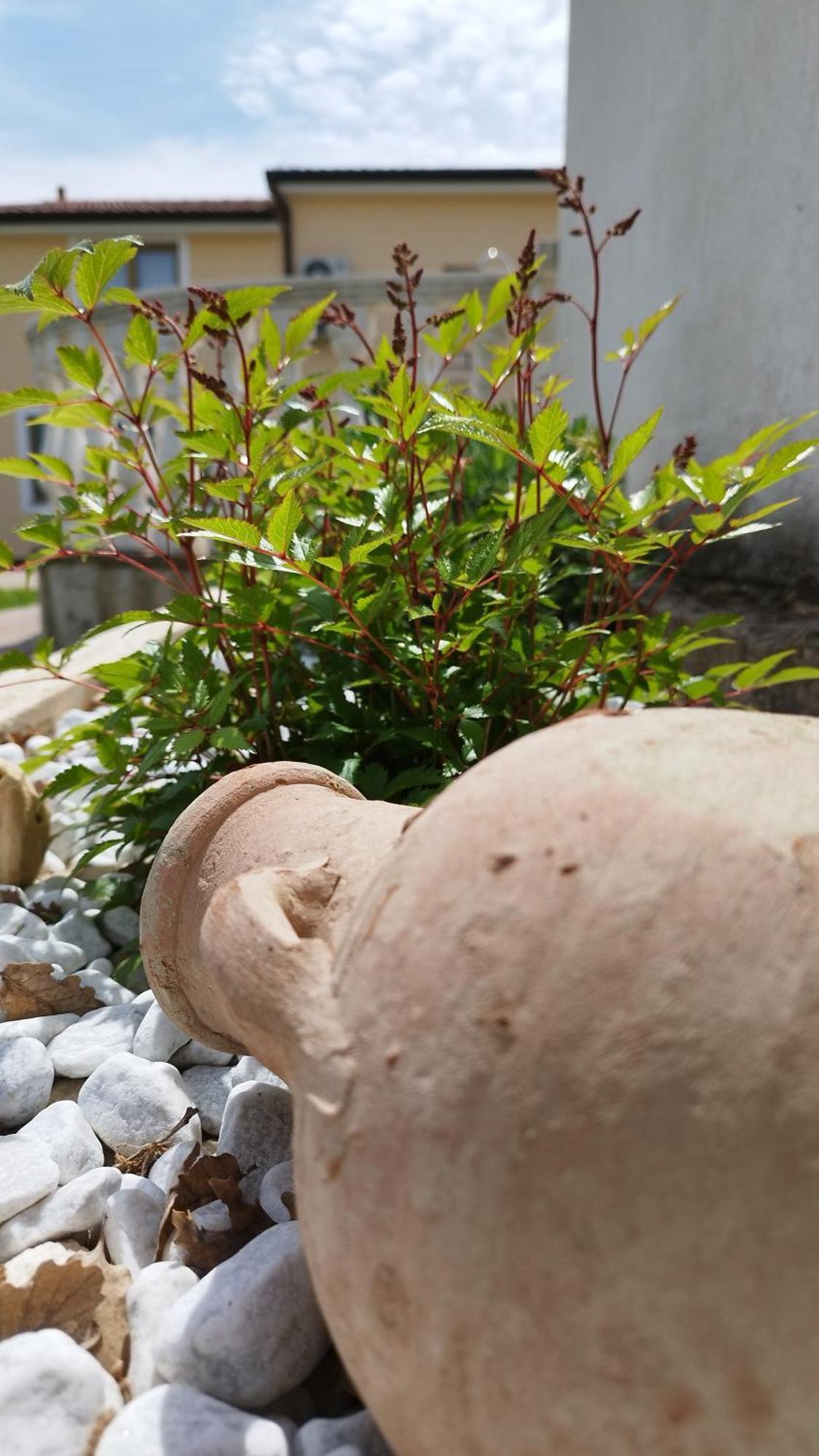 Villa "Pied-A-Terre" Residence & Spa Umag Bagian luar foto
