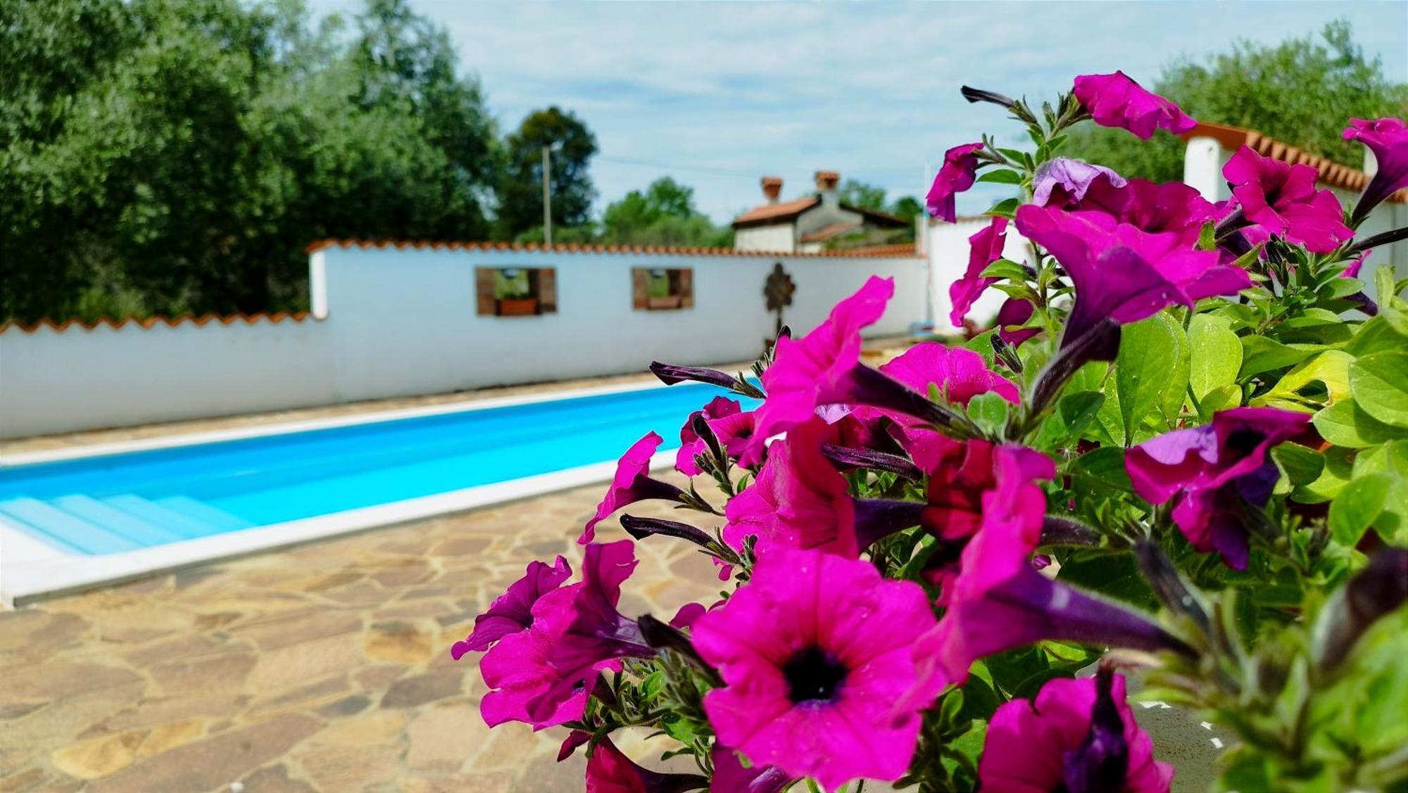 Villa "Pied-A-Terre" Residence & Spa Umag Bagian luar foto